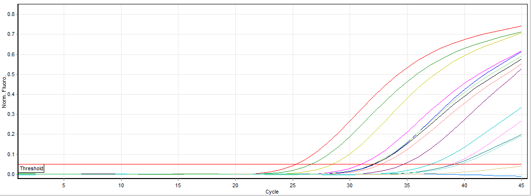 HEV reverse transcription.png