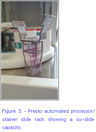 Picture8.png