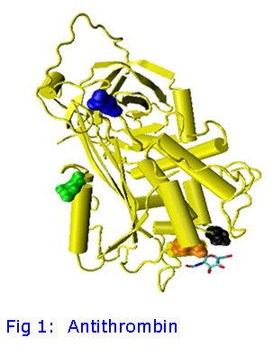 herapin.png