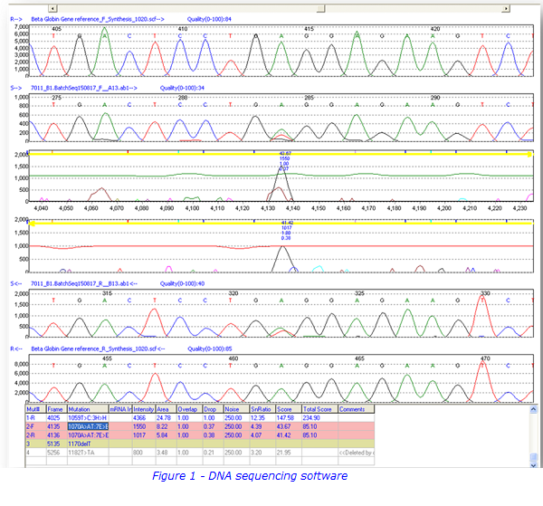 dna sequencing.png