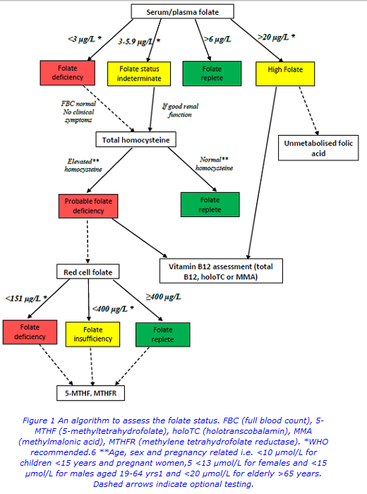 folate image 2 website.png